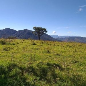 Meet your Posher, Francisco